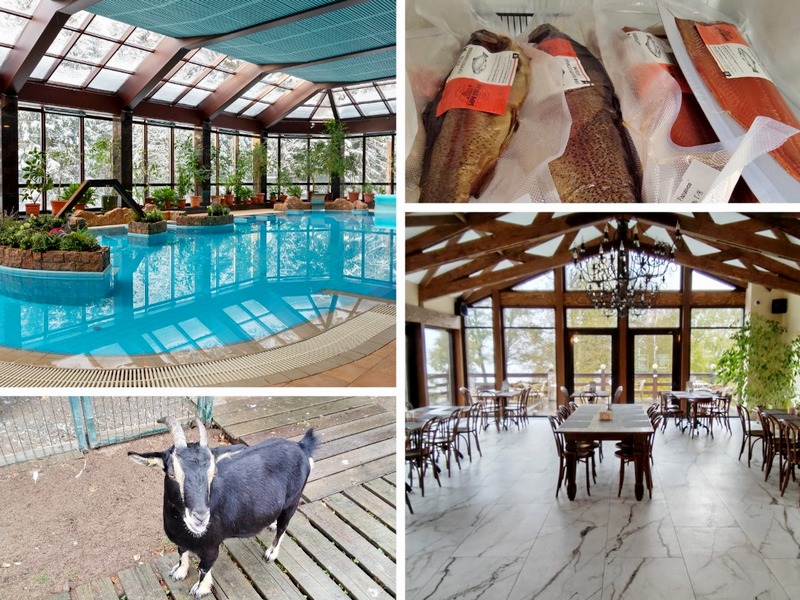 Отдых в спа-отеле «Тапиола» и угощения на Выборгской земле (с посещением центра отдыха «Бородинское»)