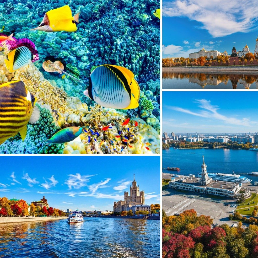 Москва – порт пяти морей (Океанариум, прогулка по Москве-реке, Северный речной вокзал)
